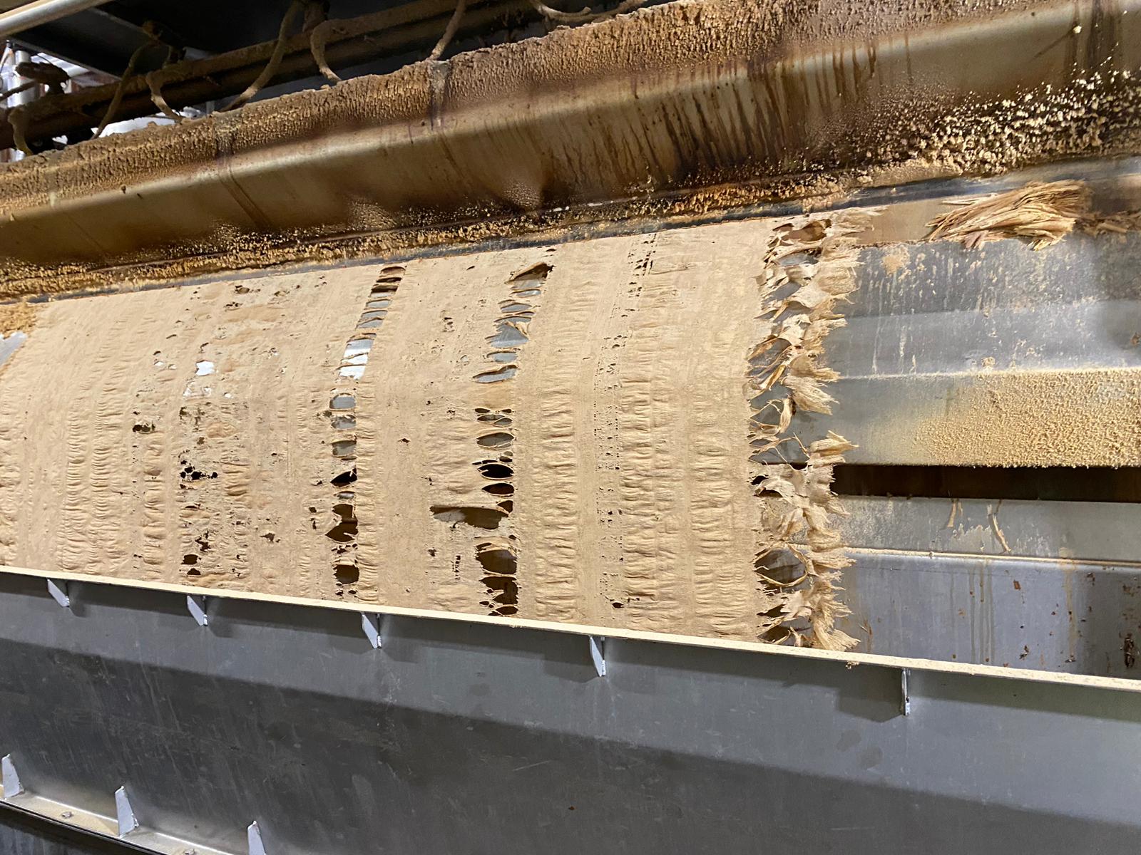 Fresh Dry Yeast 