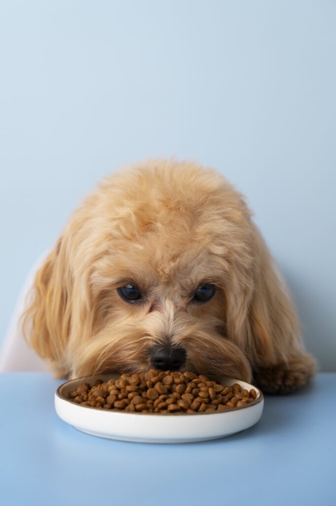 Yeast used as a coating ingredient in pet food